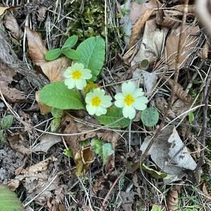 Meet your Posher, Aiga